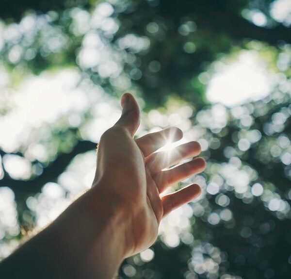 expand digital reach growth platform